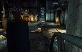 Batman Arkham Asylum Cover Screenshot